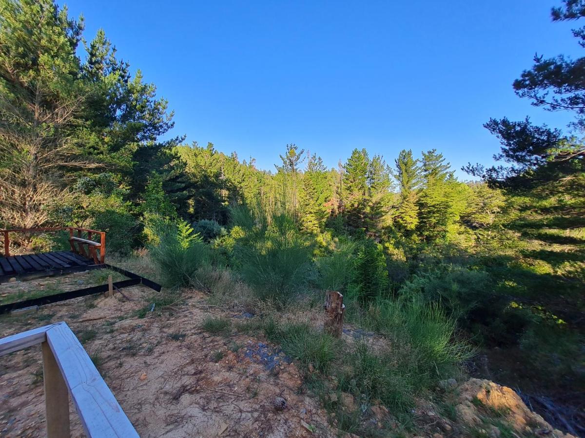 Refugio Sauna El Arrayan Casablanca Chalet Valdivia
